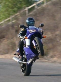 motor mobilul tau