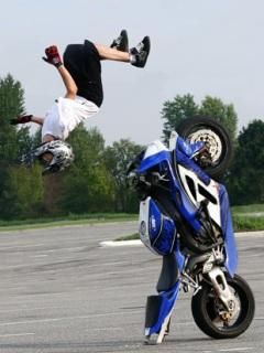 freestyle mobilul tau